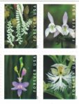 wild orchids stamps