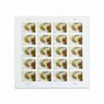 White-Rose-Stamps-forever-discount-cheap-in-bulk-2