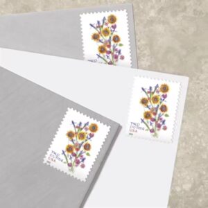 cheap stamps bulk, usps discount stamps, Two Ounce Stamp Value