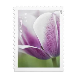 tulip blossom flower forever stamps is good for USPS Xmas Stamps for 2023 holiday greetings
