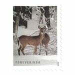 Winter-Scenes_Stamps_cheap_forever_stamps_in_bulk_sale_9