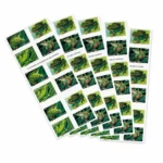 frogs-forever-stamps-for-sale-discount-postage-cheap-in-bulk