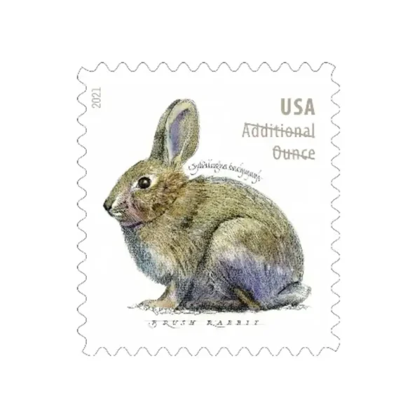 Brush Rabbits Stamps USPS forever stamps cheap in bulk for sale