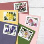 Snowy-Beauty Stamps-2022-cheap-forever-1