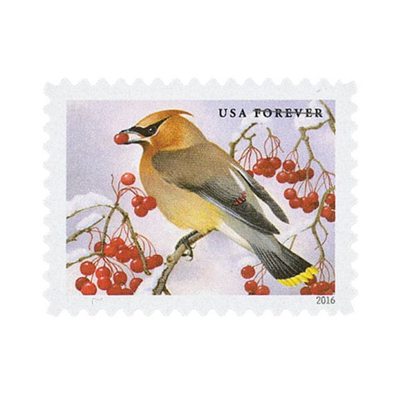 buy songbirds forever stamps cheap in bulk