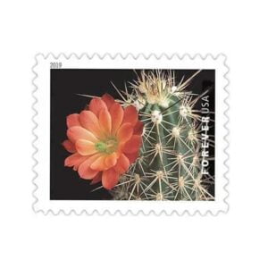 buy discount usps cactus flowers postage stamp cheap forever stamps in bulk for sale